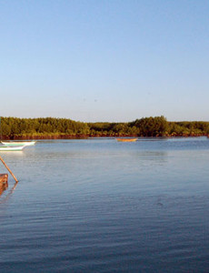 Sagay City Negros Occidental Philipines -- Travel Philippines